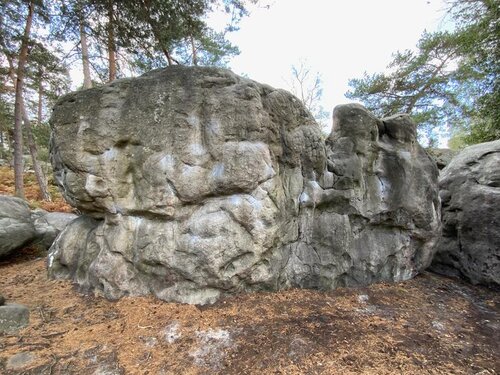 Image of L'Astragale (direct) (6c)